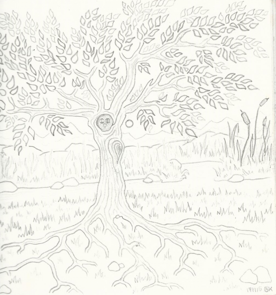 Illustration: Eulenbaum am großen Teich 1