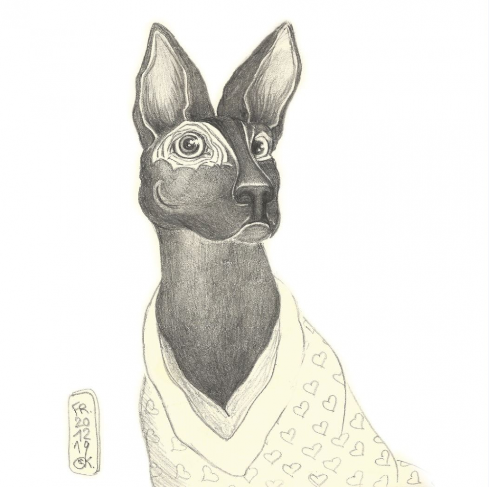 Illustration: Hund in Pyjamas 1