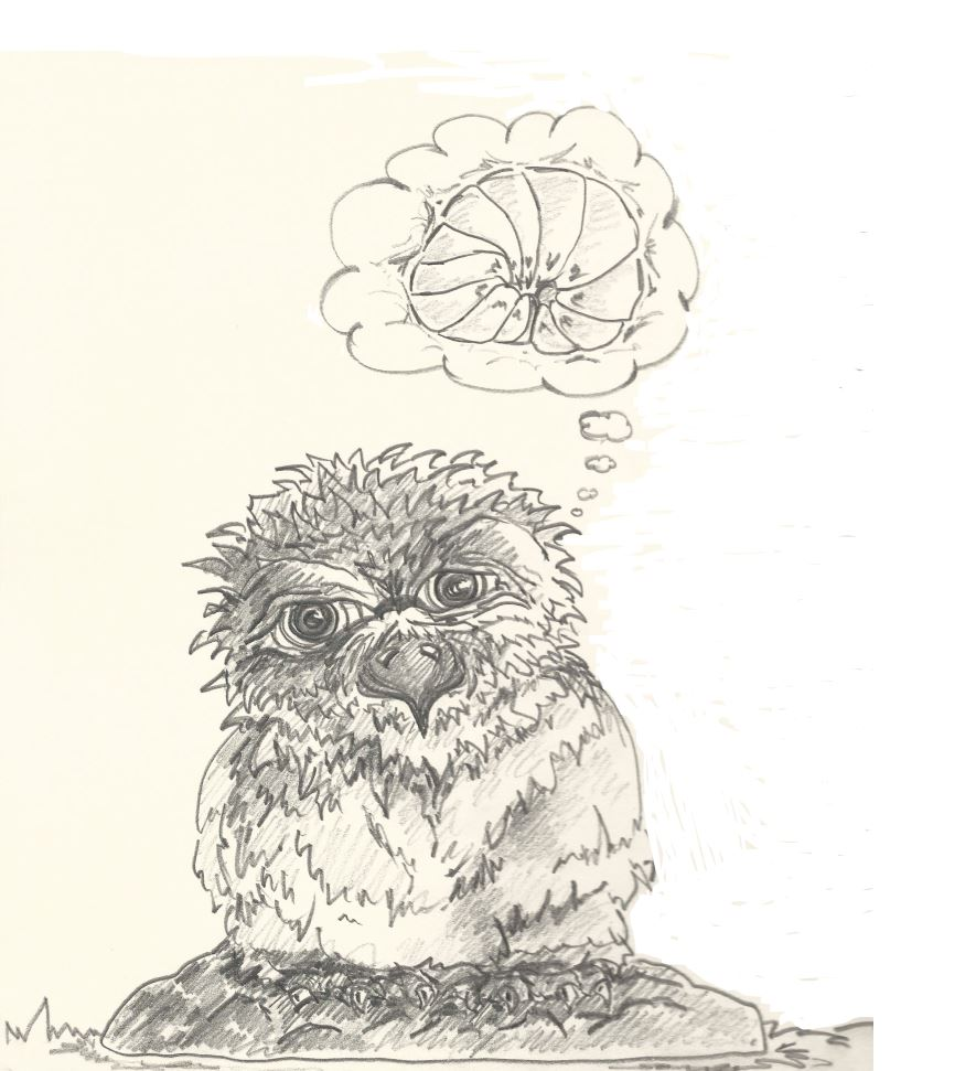 Illustration: Ein echtes Ähhh 1