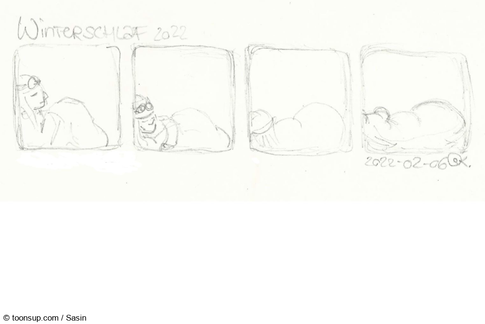 Comic: Winterschlaf 2022 // Winterschlafen wie ein Bär 1