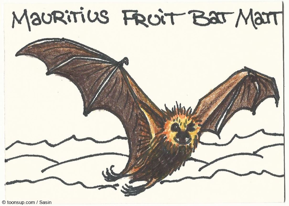 Illustration: KaKAO-Karte Nr. 039 // Mauritius Fruit Bat Matt 3