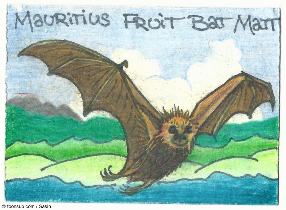 Illustration: KaKAO-Karte Nr. 039 // Mauritius Fruit Bat Matt 2