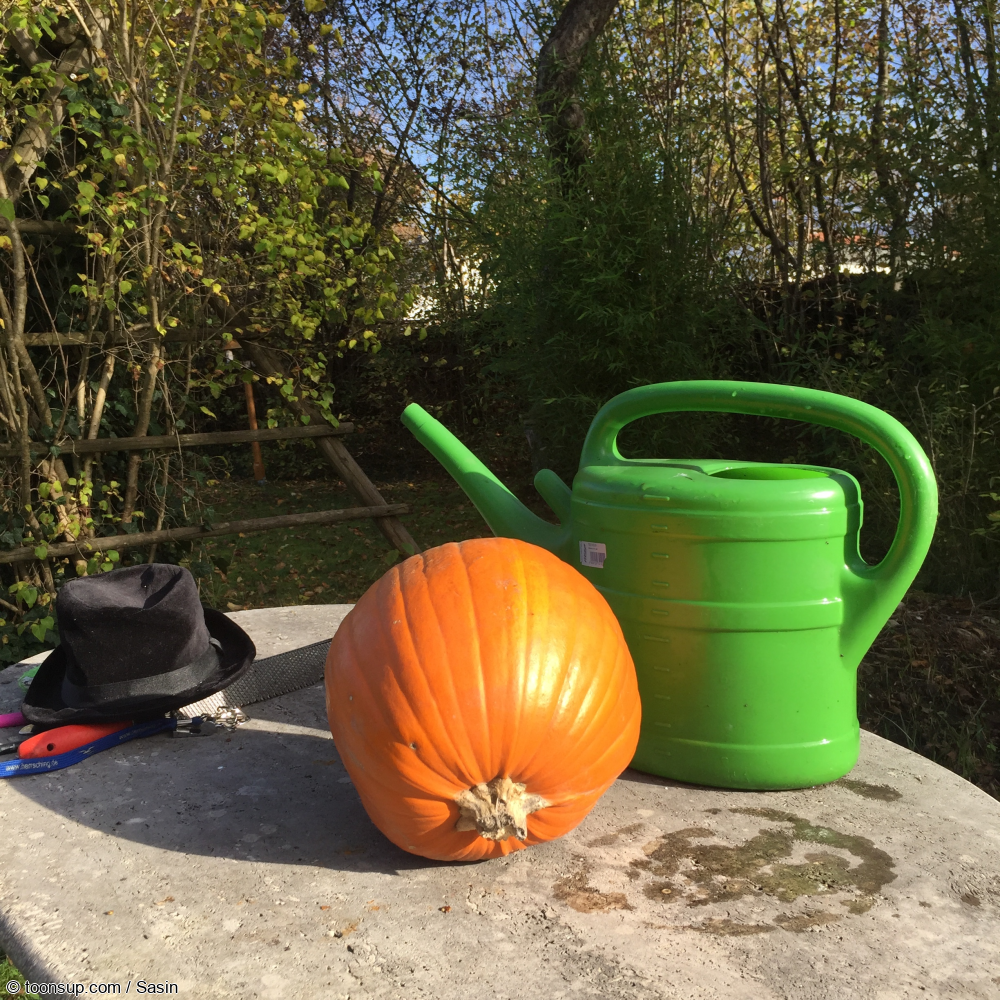 Foto: Happy Halloween!! // Pumpkin 2022 2