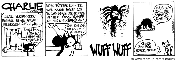 Comic: Elstern 1