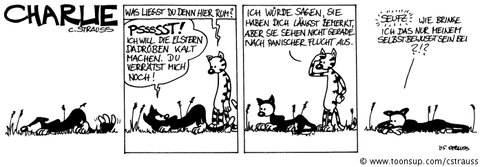 Comic: Elstern 2