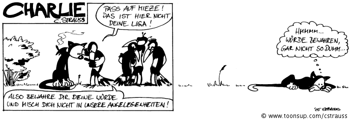 Comic: Elstern 4