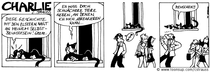 Comic: Elstern 5