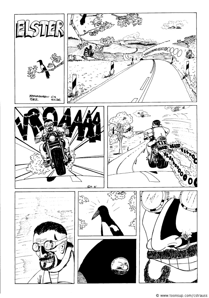 Comic: ELSTER 1