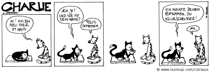 Comic: calvin 1