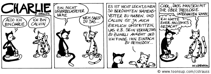 Comic: calvin 2
