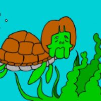 Emys Orbicularis