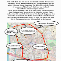 Buch: Die Salzmagd erzählt... 3