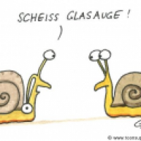 Glasauge