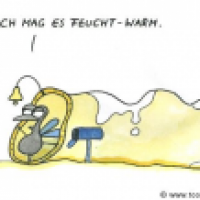 feucht & warm