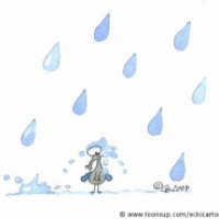 Regenfliege
