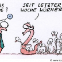 Würmer