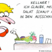 Salatausschnitt