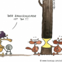 Zahnschleifer