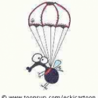 Fliegenfallschirm