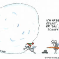 Fliegenschneemann