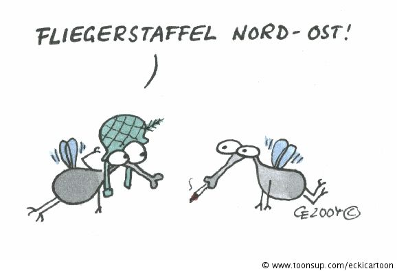 Cartoon: Fliegerstaffel 1