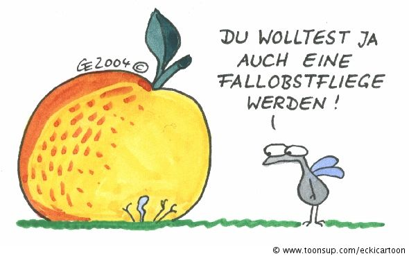 Cartoon: Fallobstfliege 1