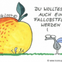 Fallobstfliege