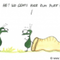 Wo geht's lang?