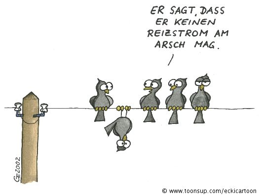 Cartoon: Reizstrom 1