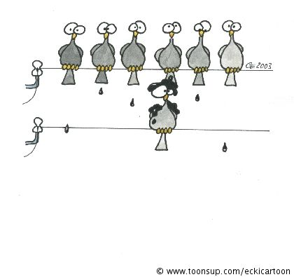 Cartoon: Pechvogel 1