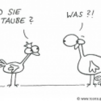 taube Taube