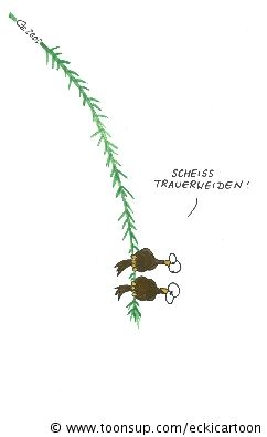 Cartoon: Trauerweide 1