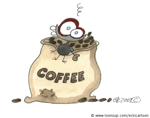 Cartoon: Kaffeefliege 1