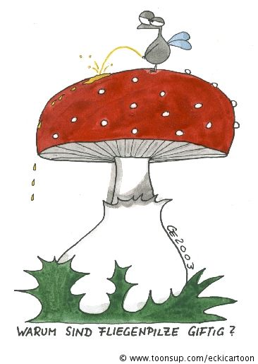 Cartoon: Fliegenpilz 1