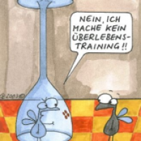 Überlebenstraining