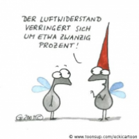 Fliegenmütze