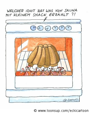 Cartoon: Fliegensauna 1