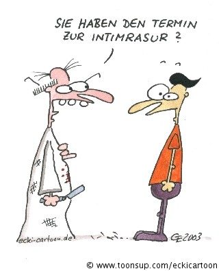Cartoon: Intimrasur 1