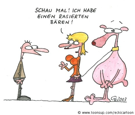 Cartoon: Rasierter Bär 1