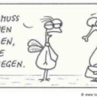Rausfliegen