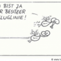 Fluglinie