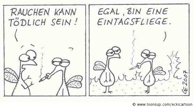 Comic: Eintagsfliege 1