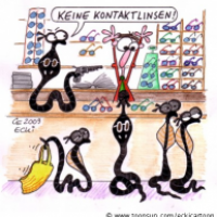 Brillenschlange
