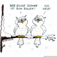 Schneeeulen-Philosophie