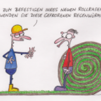 Rollrasen