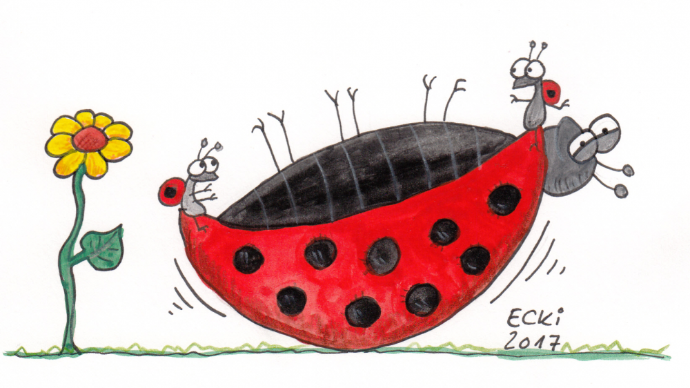 Cartoon: Käferwippe 1