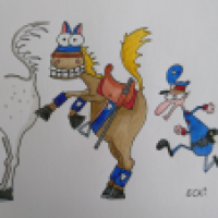 Lipizzaner wanted