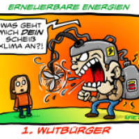 Erneuerbare Energien: Wutbürger