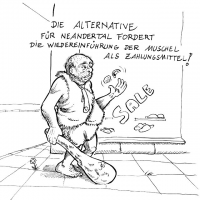 Muschelgeld