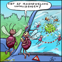 Unfallzeugen gesucht